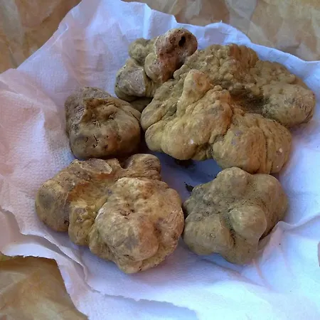 住宿加早餐酒店 阿克德依诺比利酒店 3*