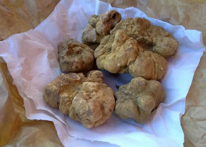 فندق مبيت وإفطار Arco Dei Nobili 3*